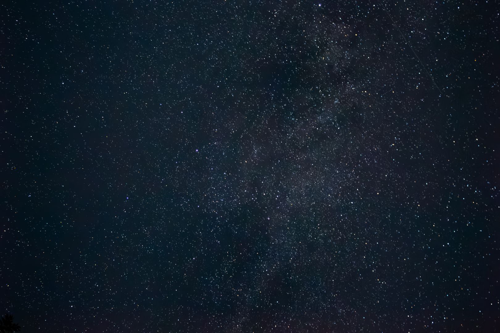 Stars